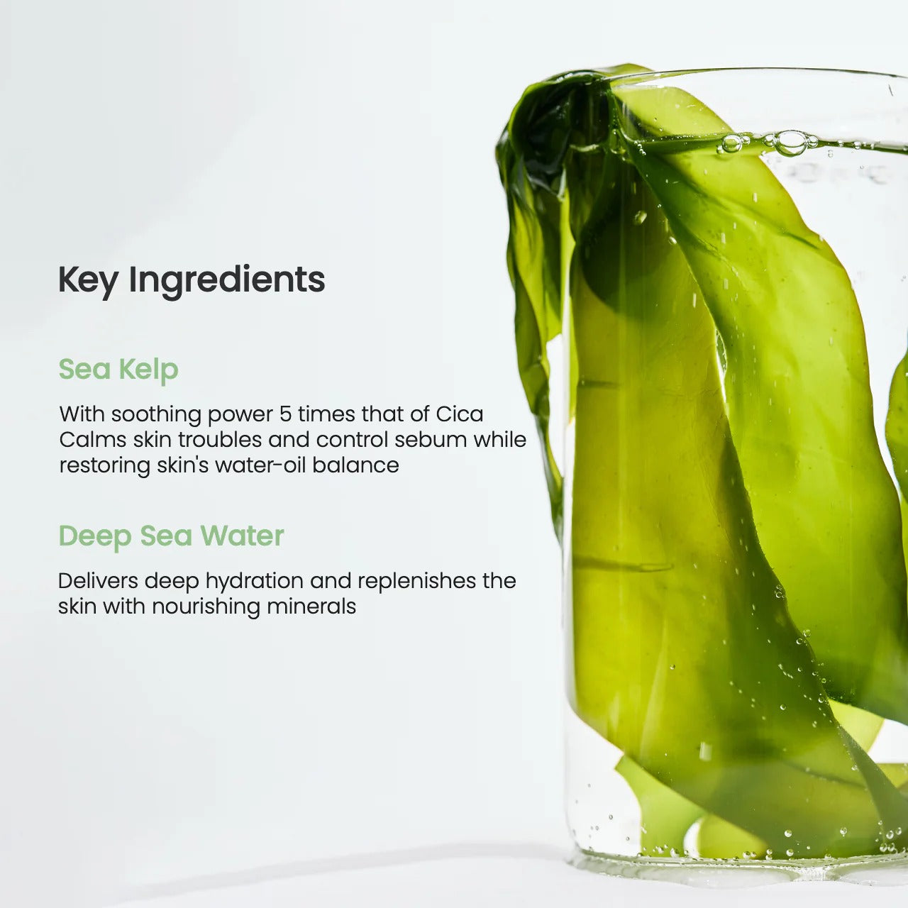 BIODANCE Refreshing Sea kelp Real Deep Mask, Overnight Hydrogel Mask, Calming, Oil & Sebum Control, Blemish Care, Korean Skincare, Stocking Stuffers for Teen Girls | 1.19oz(34g) x 16ea